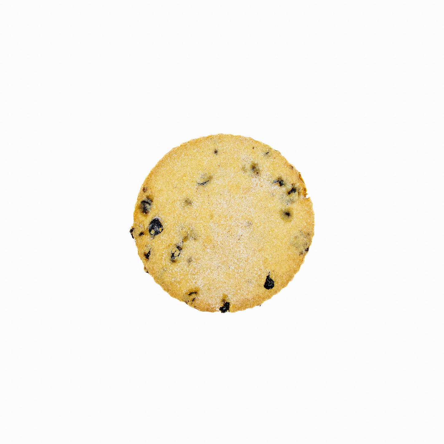Currant Biscuit