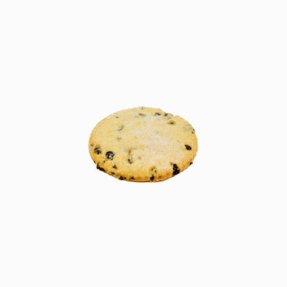 Currant Biscuit